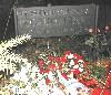 Rosa-Luxemburg-Gedenktafel in der Cranachstr.; Foto:Axel Hildebrandt
