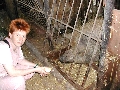 mit Erna im Tierpark 'Kunsterspring'; Foto:privat