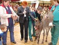 Erntefest im Wahlkreis; Foto: Horst Kitzmann