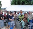 25 Jahre Kleingartenpark am Kienberg; Foto: Heidi Wagner