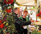 mit Bezirksstadtrat Norbert Lüdtke bei den Kleingärtnern; Foto: Heidi Wagner