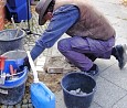 Stolpersteine für Familie Fischl; Foto: Axel Hildebrandt