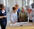 Ilse Panzer im Bundestag; Foto: Axel Hildebrandt