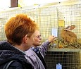 In der Kleintierausstellung; Foto: Heidi Wagner