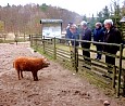 Oskar in Kunsterspring; Foto: Axel Hildebrandt