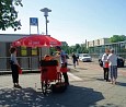 Harzfeuer-Tomatenpflanzen verteilt; Foto: Axel Hildebrandt