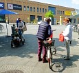 Tomatenpflanzen Harz-Feuer verteilt; Foto: Elke Brosow