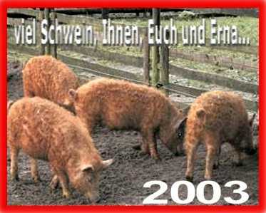 Schwein für 2003